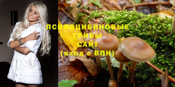 марки lsd Осинники
