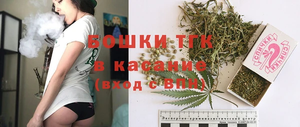 спиды Аркадак