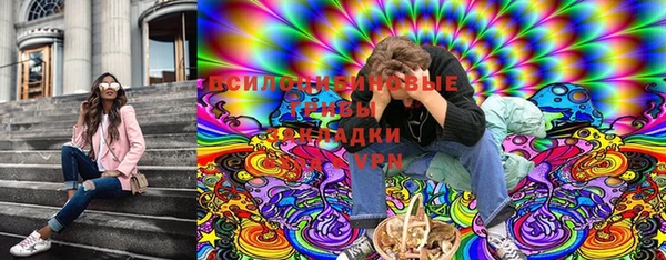 спиды Аркадак