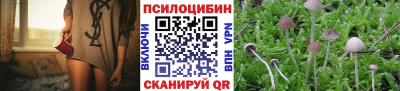 где купить наркоту  Звенигово  Псилоцибиновые грибы MAGIC MUSHROOMS 